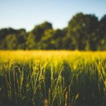 ATP网球巡回赛高清视频直播全程精彩呈现 3fp91q