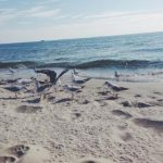 ao直播吧:畅享高清体育赛事直播的精彩平台 494xstx5k