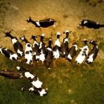 Appsme直播平台:开启你的互动直播新体验 4ym742v