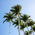 AC米兰与萨索洛激战正酣:不容错过的精彩赛事直播 b2vkp