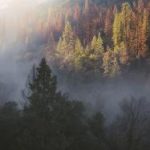 AU直播福利视频独家放送,精彩内容抢先看! by4jc01etf