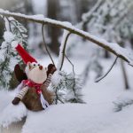 立博平台全面评测与使用体验分析指南 vjzc4r989y