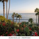 “肉弹直播”乱象调查与反思 aumx34