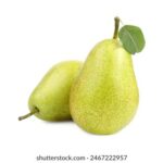 《2K Online》精彩赛事直播,热血对决即刻开启! q9zc5za5